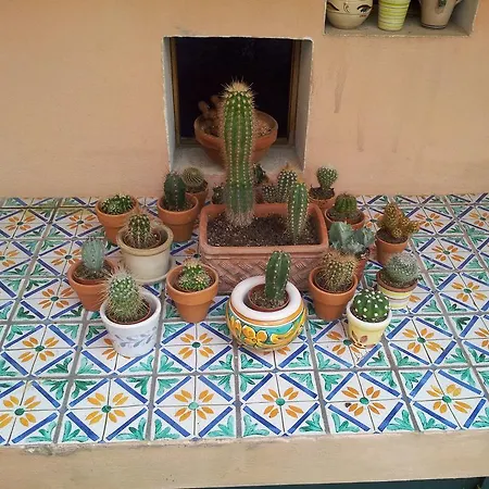 Casa Cicala *